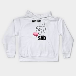 why is it sad cat Kids Hoodie